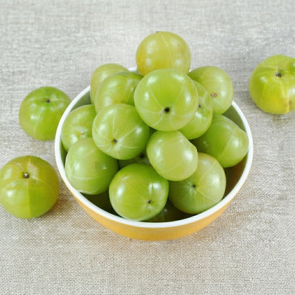 Indian Gooseberry (Amla) fruits with smooth, light green skin displayed in a bowl on a neutral background. Seed World