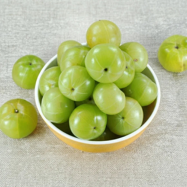 Indian Gooseberry (Amla) fruits with smooth, light green skin displayed in a bowl on a neutral background. Seed World