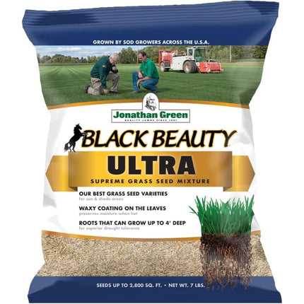 Black Beauty Ultra Grass Seeds
