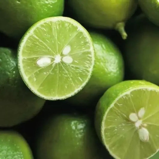 5 Kaffir Lime Tree Seeds