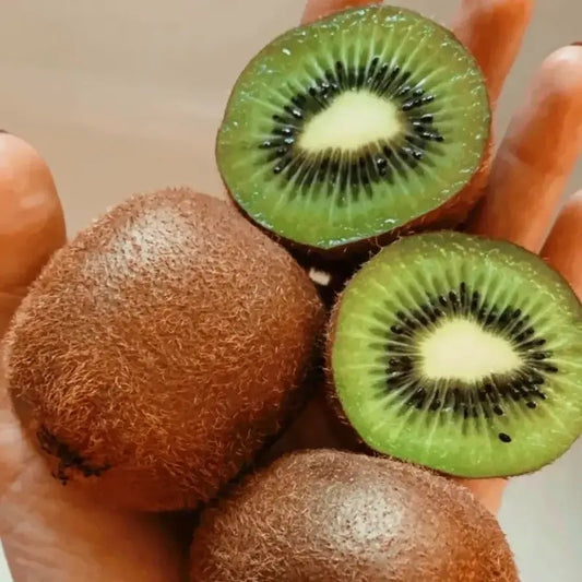 25 Kiwi Fruit Plant Tree Bonsai Seeds