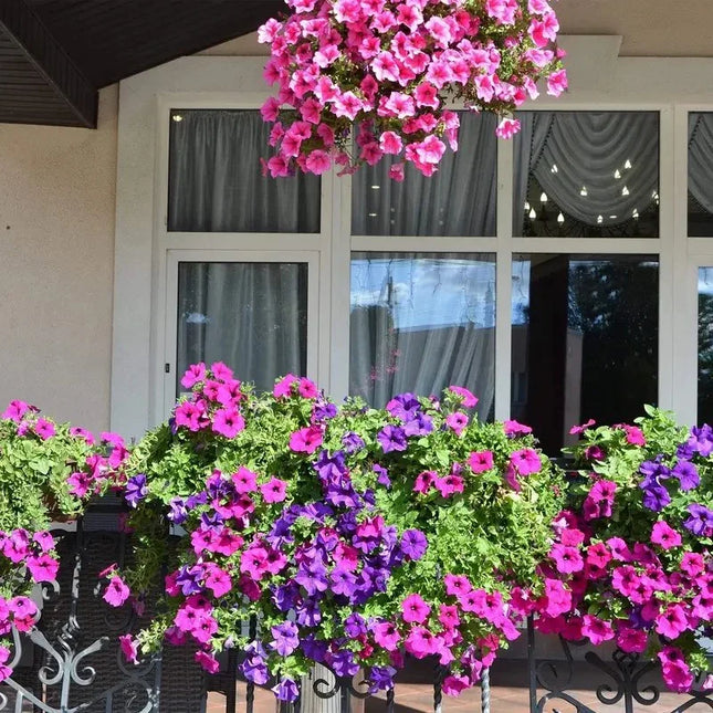 Baskets of pink and purple flowers in front of a building with large windows.