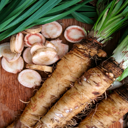 35 Mammoth Sandwich Island Salsify Seeds – Heirloom | Non-GMO