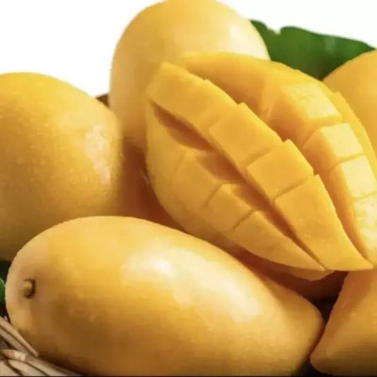2 Mango Fruit Tree Seeds