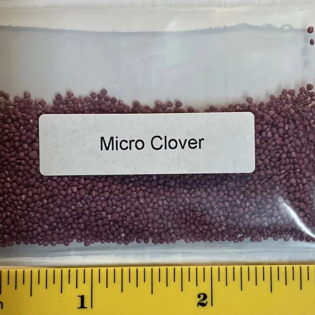 Clear plastic bag with purple micro clover seeds labeled 'Micro Clover' next to a ruler for scale.