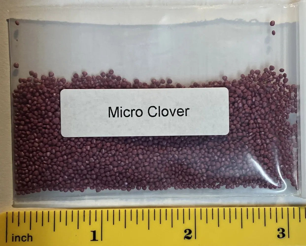 Micro Clover Seeds – Trifolium repens