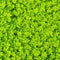 Miniature clover seeds growing lush green ground cover for gardens and landscaping. Seed World