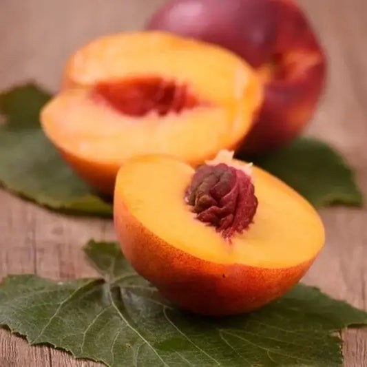 Organic yellow nectarines halved and placed on green leaves for display