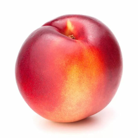 Close-up of a single organic yellow nectarine with smooth red-yellow skin