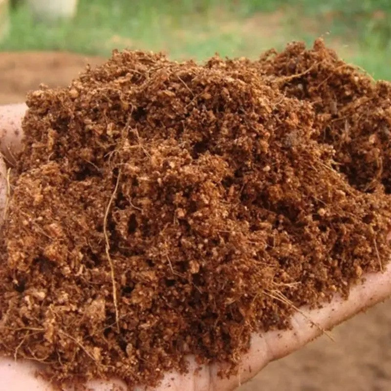 Organic Coco Coir Bricks – Coconut Fiber Growing Medium & Pet Bedding