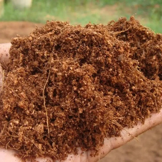 Organic Coco Coir Bricks – Coconut Fiber Growing Medium & Pet Bedding