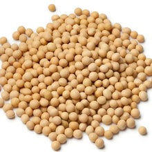 100 PURE Soybean Seeds | NON-GMO