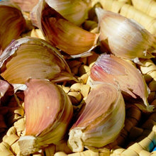 Peruvian Purple Stripe Garlic Bulbs for Planting Eating