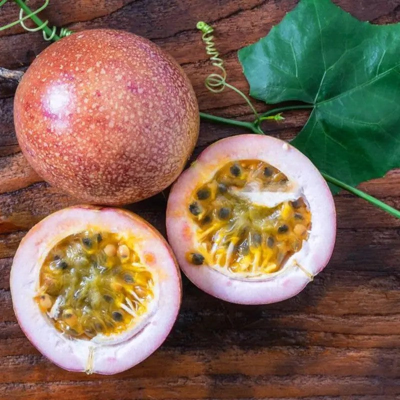 40 Purple Passion Fruit Seeds (Passiflora edulis) – Tropical Vine Fruit