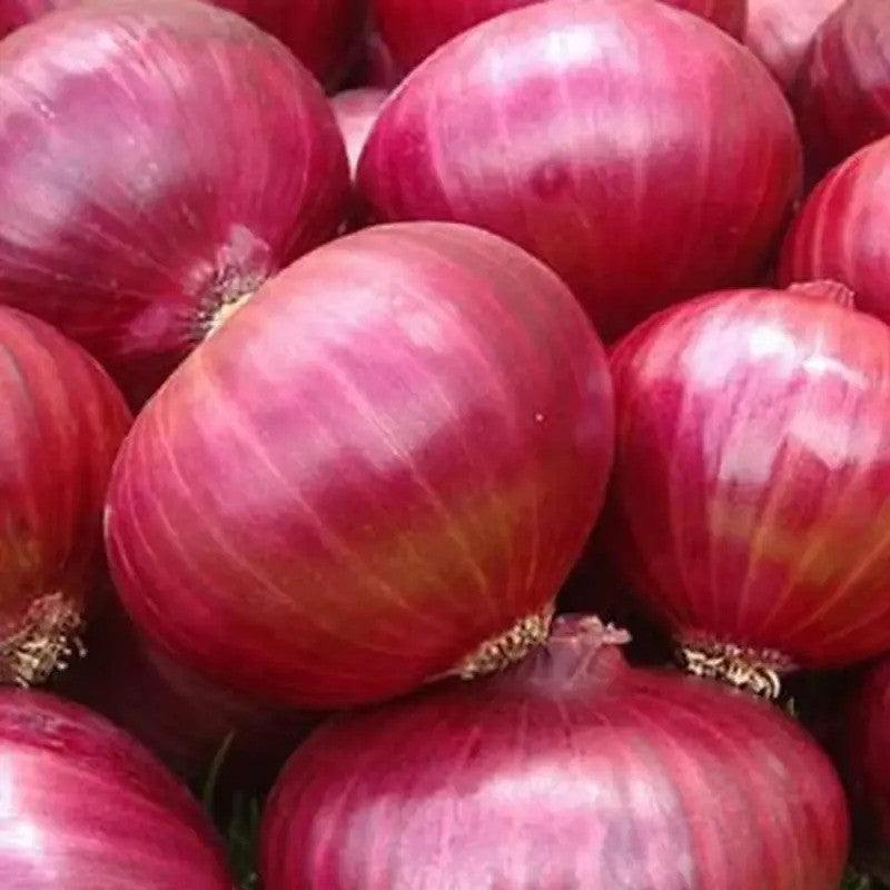 Close-up of red onions with a focus on texture and color.