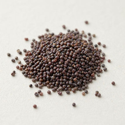 50 Rock Cress Seeds Cascading Blue - Heirloom Perennial Groundcover