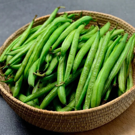 10 Strike Bush Green Bean Seeds – Phaseolus Vulgaris | Early Stringless Bean Variety