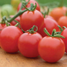 30 Super Sweet Hybrid Cherry Tomato Seeds