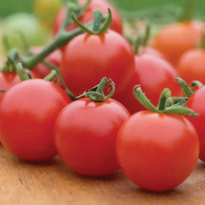 30 Super Sweet Hybrid Cherry Tomato Seeds