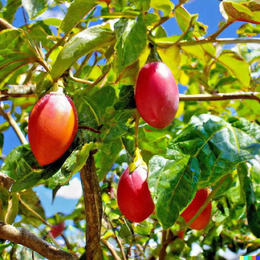 Red fruits hanging from a tree with green leaves against a blue sky.