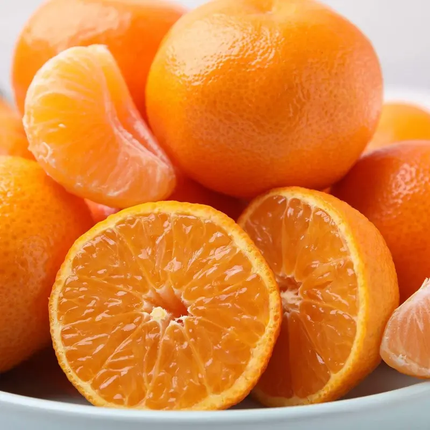 20 Tangerine Mandarin Orange Tree Seeds – Citrus reticulata Fruit Tree