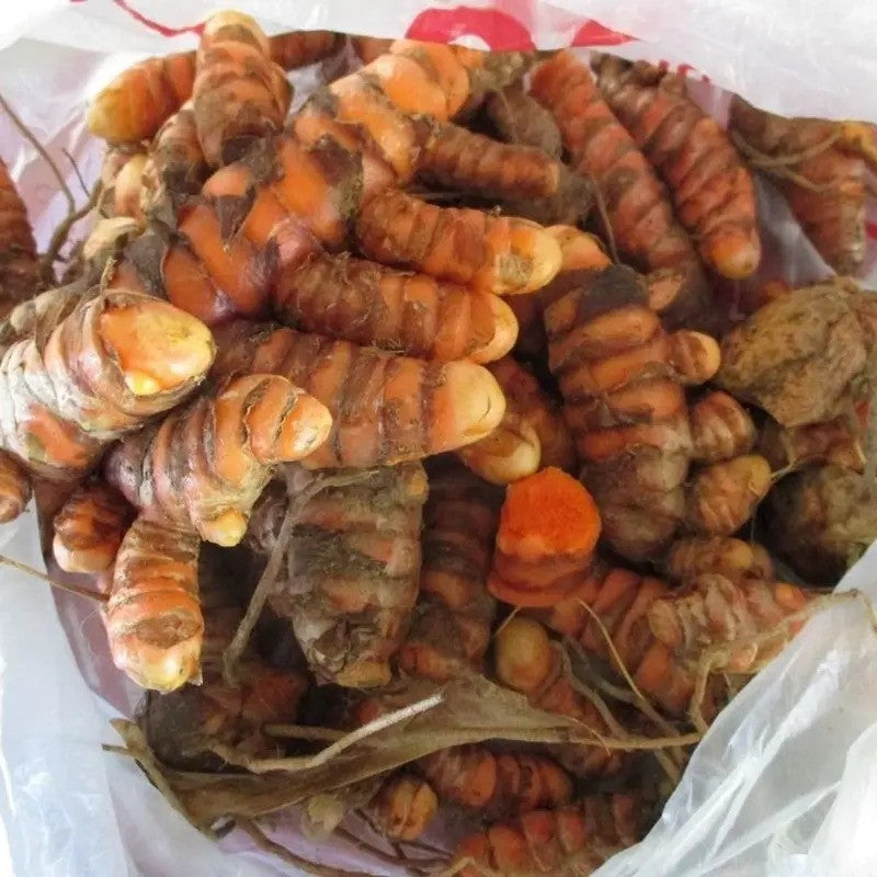 Turmeric roots in a white plastic bag