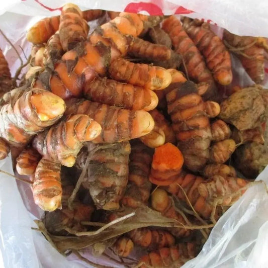 Turmeric roots in a white plastic bag