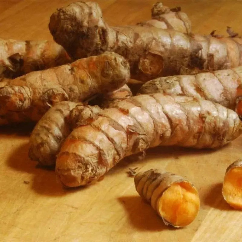 Turmeric roots on a wooden surface