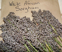 30 White African Sorghum Seeds