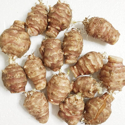 Group of Jerusalem artichokes on a white background