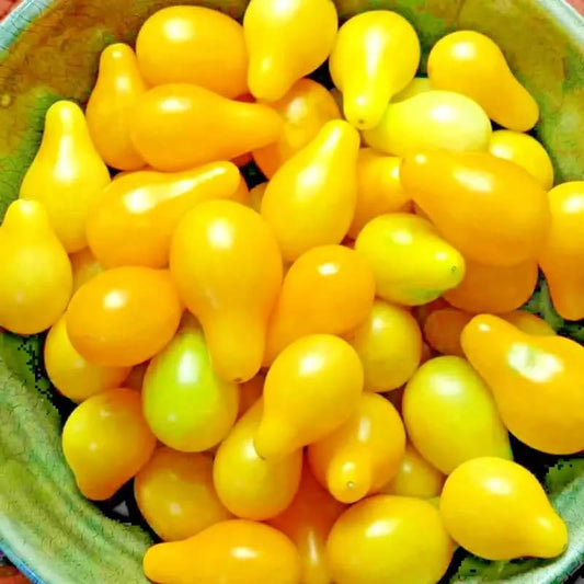 250 Yellow Pear Cherry Tomato Seeds