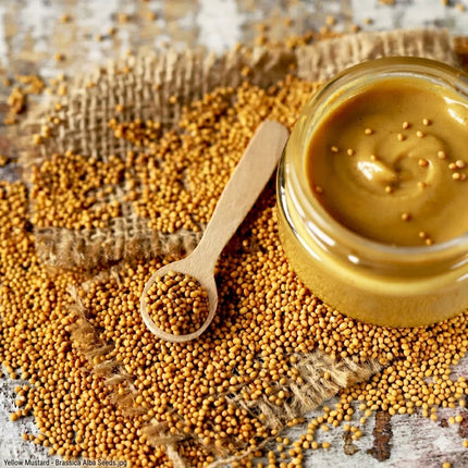 1000 Yellow Mustard Seeds – Brassica Alba