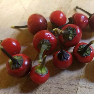 25 Black Pearl Ornamental Pepper Seeds