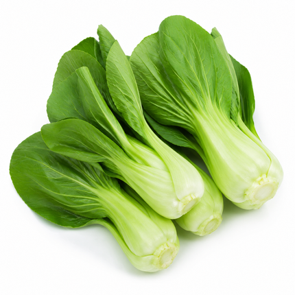 Baby Bok Choy Seeds - 1000 Seeds