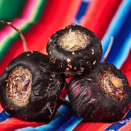 Black Maca Seeds (Lepidium meyenii) – Rare Andean Root, Non-GMO - Seed World
