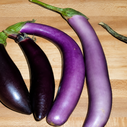 25 Bride Eggplant White and Purple Fruit Seeds