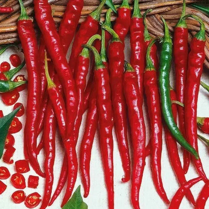 Cayenne Long Slim Red Pepper Seeds - Seed World