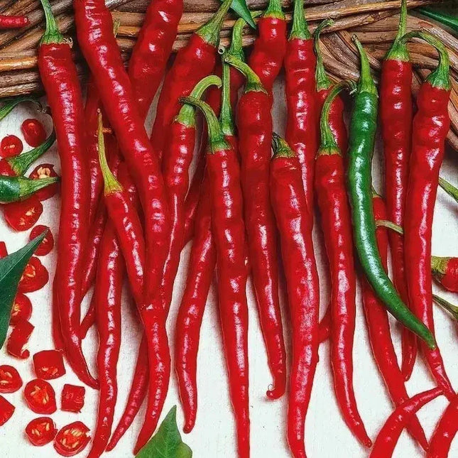 Cayenne Long Slim Red Pepper Seeds - Seed World
