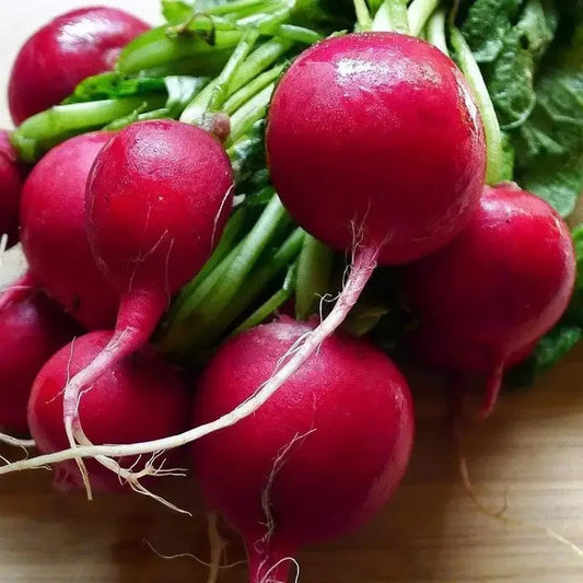 Cherry Belle Radish Seeds - Seed World