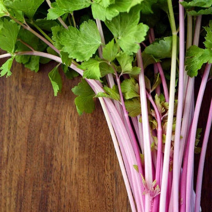 Harvested Chinese Pink celery with slender pink stalks and green leaves