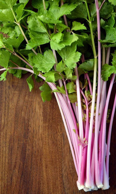 Harvested Chinese Pink celery with slender pink stalks and green leaves
