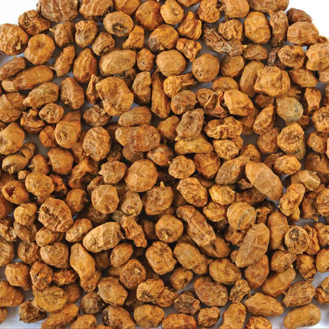Chufa Seeds - 1 lb. - Seed World