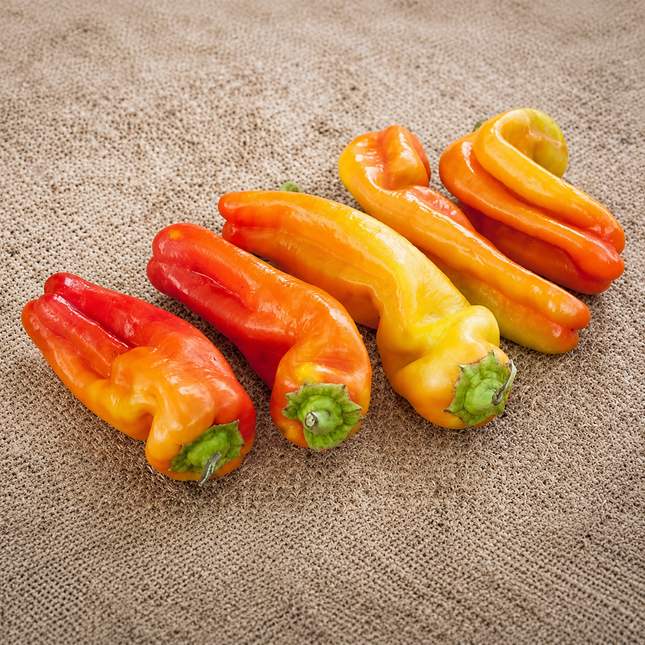 25 Cubanelle Sweet Pepper Seeds