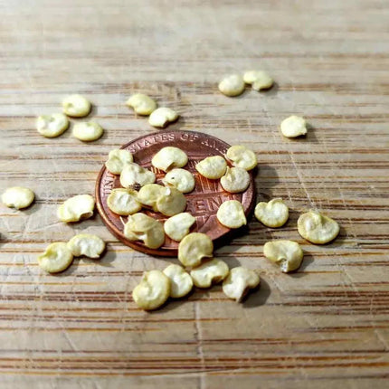 Emerald Giant pepper seeds beside a coin for scale