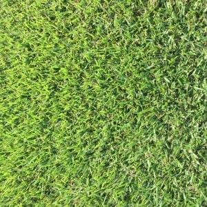 Even-cut Empire Zoysia grass surface close-up