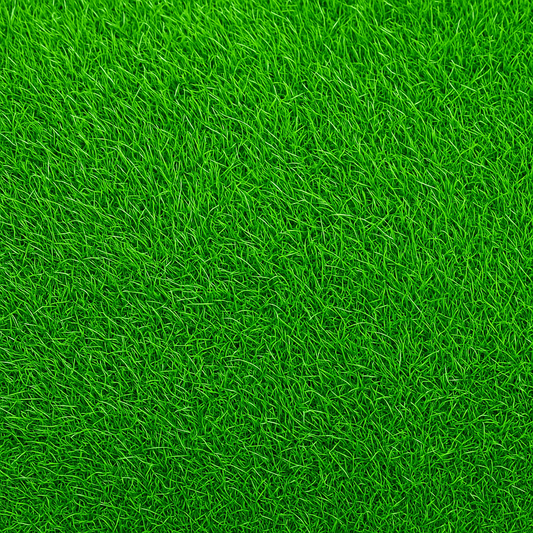 Close-up of Empire Zoysia grass lawn surface