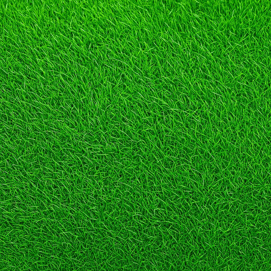 Empire Zoysia Grass Seed - Drought-Resistant Lawn (1/8 lb Pack) - Seed World