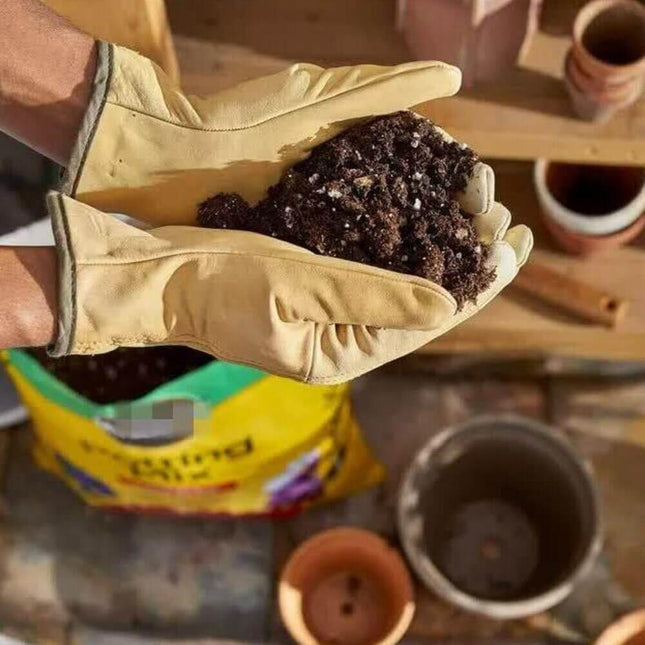 Garden Potting Mix for Plants - 16 Quart Bag - Seed World