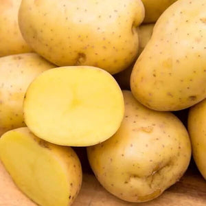 Yukon Gold True Potato Seeds (113g)