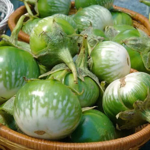 50 Green Thai Eggplant Seeds